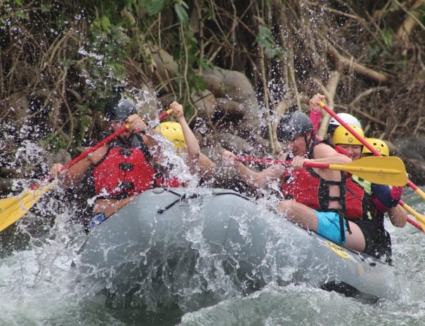 Group of people rafting on Class III rapids in the Sarapiqui River, Costa Rica, surrounded by tropical jungle during an adventure tour.