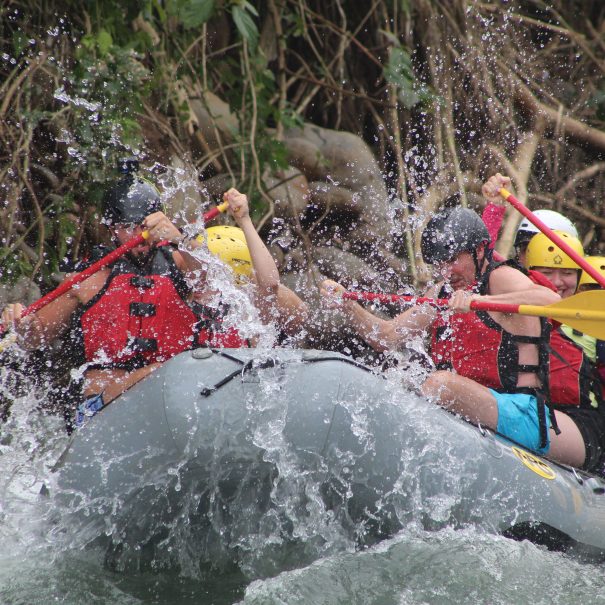 Group of people rafting on Class III rapids in the Sarapiqui River, Costa Rica, surrounded by tropical jungle during an adventure tour.