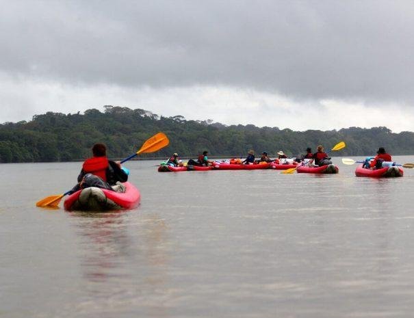 Kayaking Tours